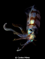 When the ligths are OFF!! by Carlos Pérez 